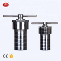 Hydrothermal Autoclave Reactor with  Liner